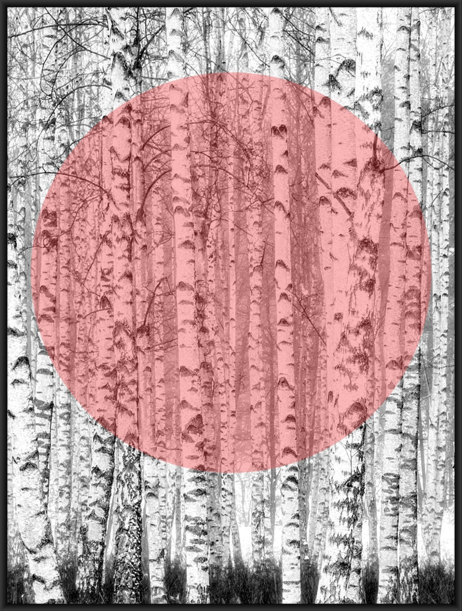 Silver birch trees, tree wall art, botanic art, scandinavian print Digital Print Collective