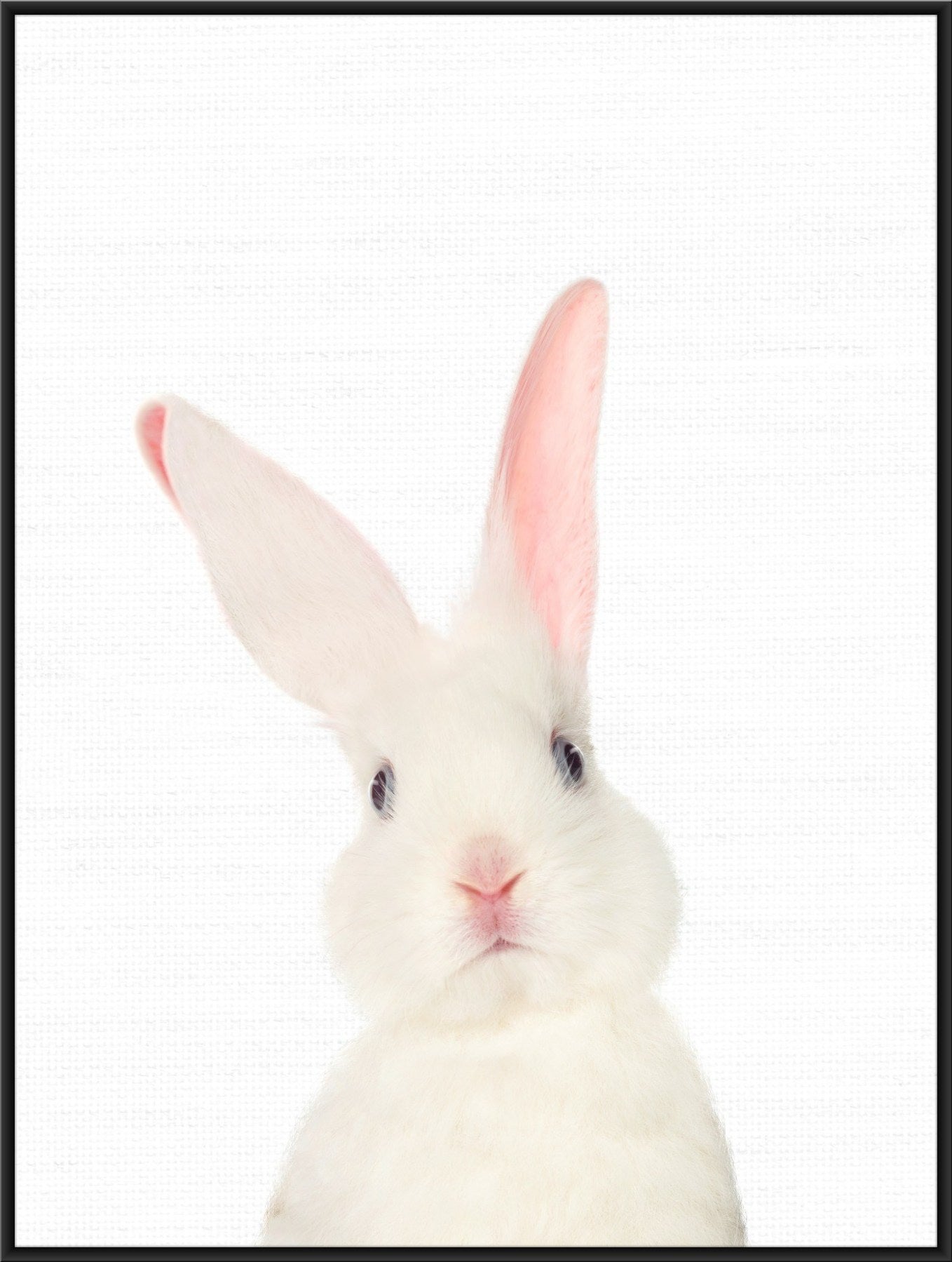 White rabbit poster, rabbit print, kid's bedroom poster, nursery wall ...